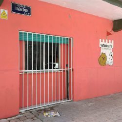 Veterinaria Torre Blanca