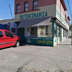 Negocio Veterinaria Y Estética Canina