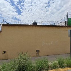 Veterinaria Y Estética Canina