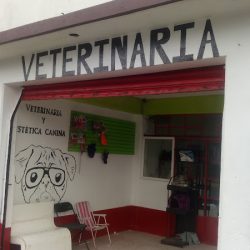 Veterinaria Y Estetica Canina "oh My Dog"