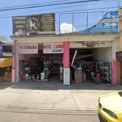Negocio Veterinaria Y Estética Canina Pet Shop