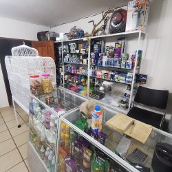 Vetfish (veterinaria Y Tienda De Mascotas)