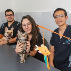 Vetme - Hospital Veterinario Condesa