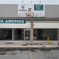 Vetplus Clinica Veterinaria