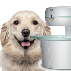 Vetscanner Resonancia Magnética Veterinaria