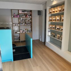 Vetus Medicina Veterinaria